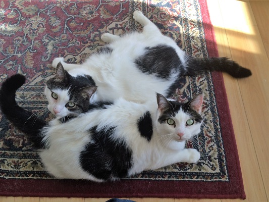 Bergamotte & Violette - SISTERS!!!